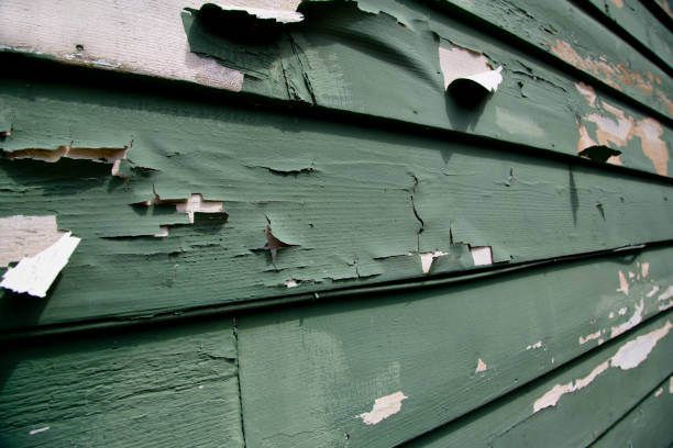 Professional Junk Removal in Spencer, WV
